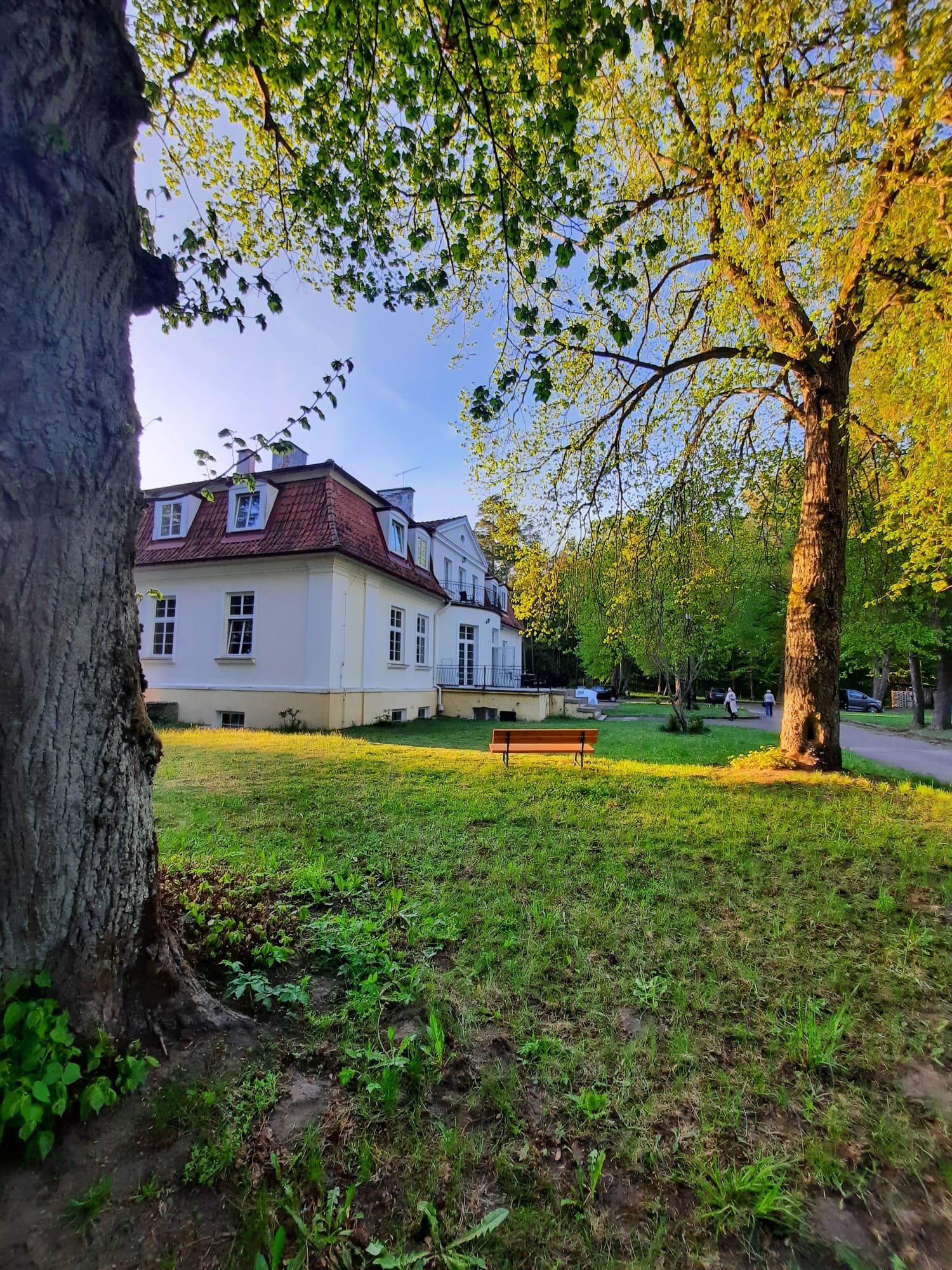 Ławeczka w cieniu starych drzew