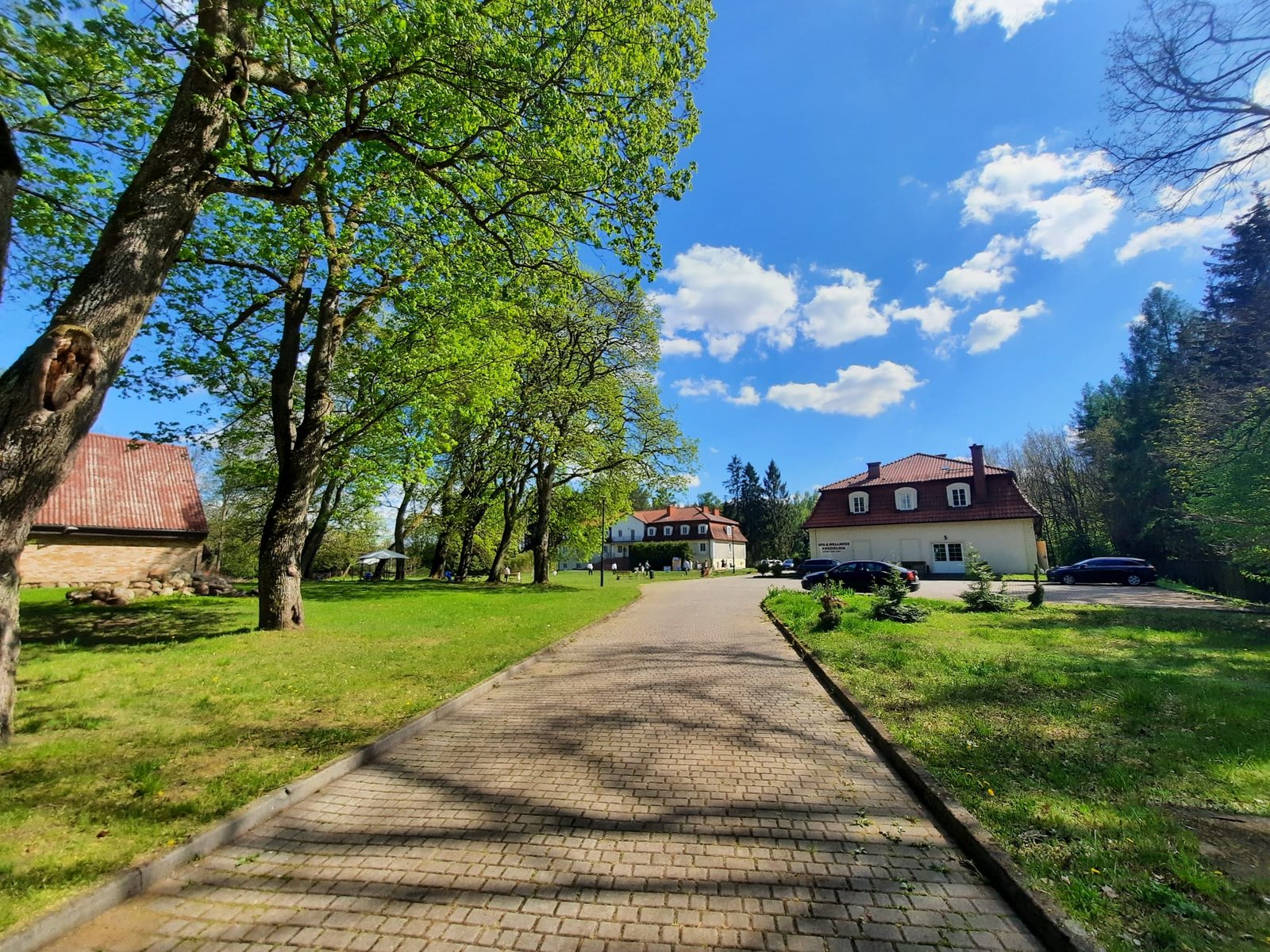 Brukowana alejka na terenie schroniska